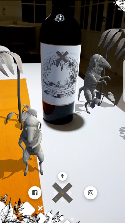 Mosquita Muerta Wines