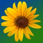 Top 20 Education Apps Like Kansas Wildflowers - Best Alternatives