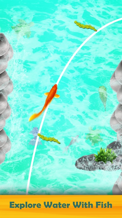 Koi Fish New 3D Game 2019