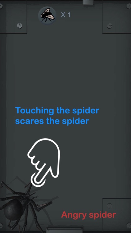 Spider Pet - Creepy Widow screenshot-3