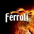 Ferroli Mobil Teknisyen