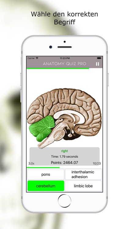 Anatomy Quiz Premium screenshot-4
