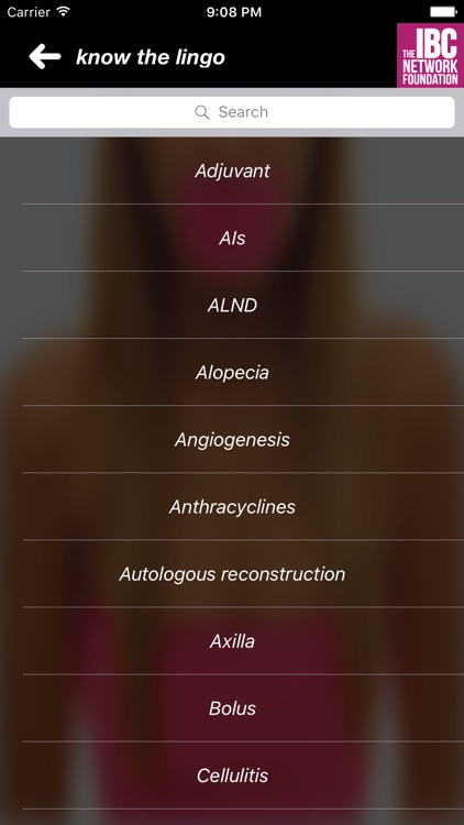 IBC Network Foundation