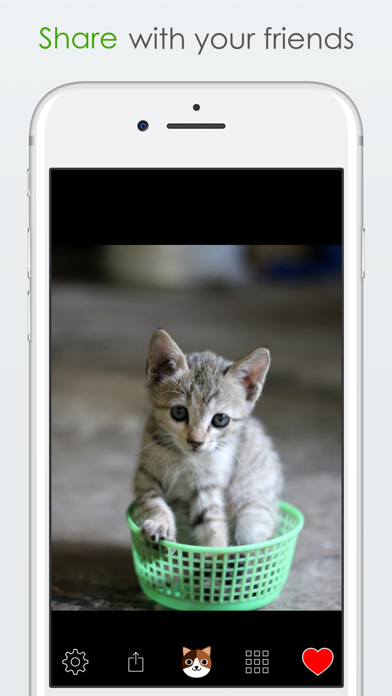How to cancel & delete Shake for Cats from iphone & ipad 4