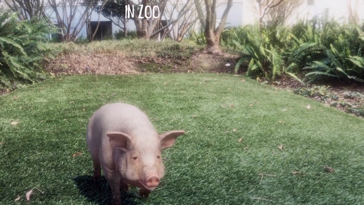 AR Petting Zoo screenshot-6