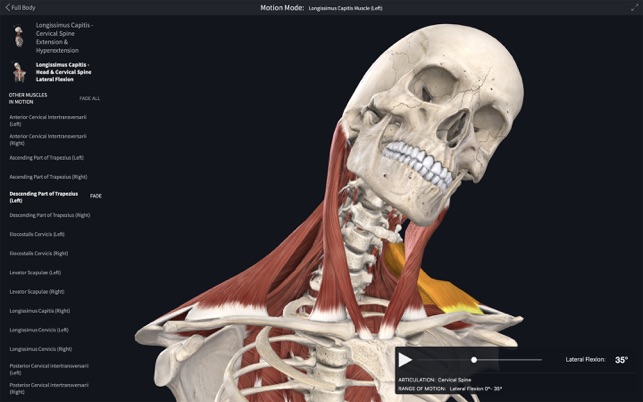 Complete anatomy 2018 3 2 – anatomy learning platform designed free