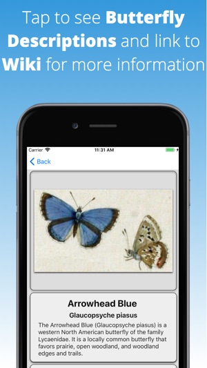 Butterfly Dictionary(圖3)-速報App