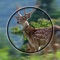 This app is designed for Hunting Camera, you can control the hunting camera to snapshot a photo or record a video for the animal that work around the camera