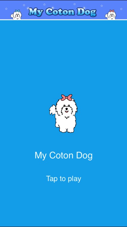 My Coton Dog