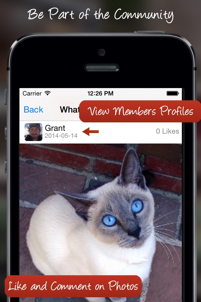 Tag A Cat - The Cat Photo App screenshot 3