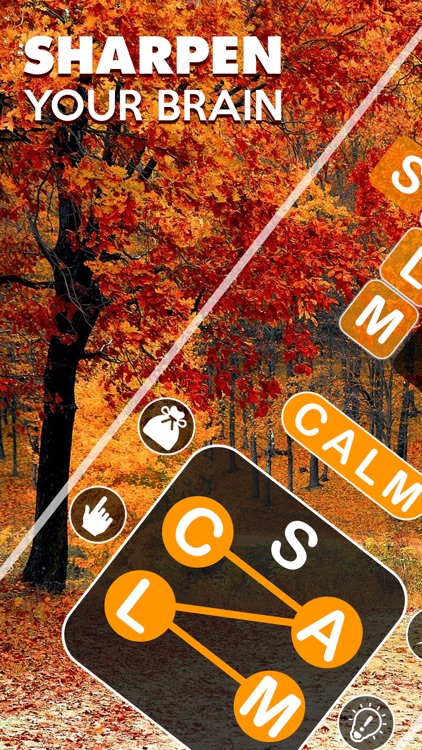 Word Cross: Crossy Word Search screenshot-0