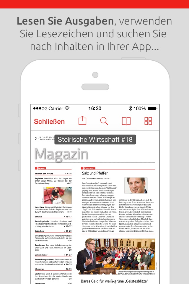 Steirische Wirtschafts Zeitung screenshot 3