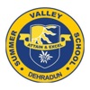 Summer valley school