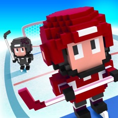 Activities of Blocky Hockey