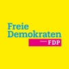 FDP Hessen für unterwegs