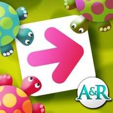 Activities of Turtle Logic