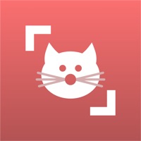 Cat Scanner app funktioniert nicht? Probleme und Störung