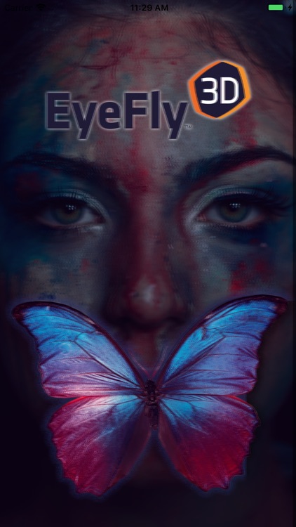 EyeFly3D