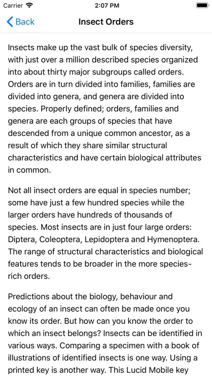 Key to Insect Orders - Revised