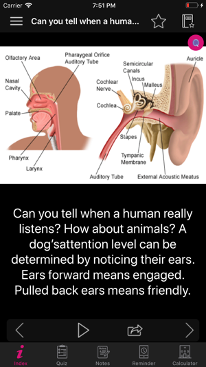 Human Anatomy Ears Facts, Quiz(圖2)-速報App