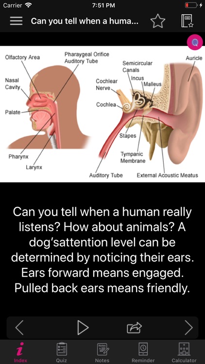 Human Anatomy Ears Facts, Quiz by Raj Kumar