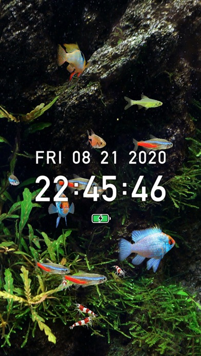 Tropical Fish Tank - Mini Aqua free Resources hack