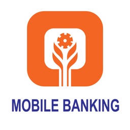 RNSB Mobile Banking