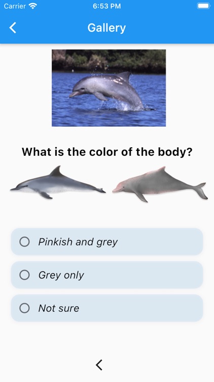 Marine Mammal App screenshot-5