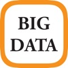 Big Data 2020