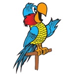 Zorzella Petshop