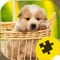 Icon Cute Dogs Puppy Jigsaw Puzzle