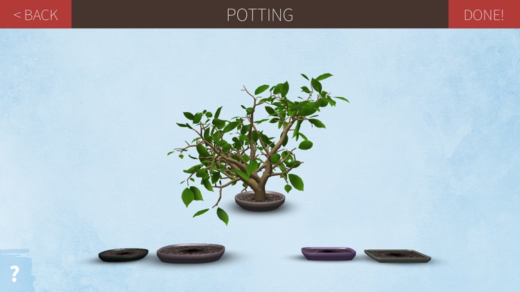 Make a Bonsai screenshot-3