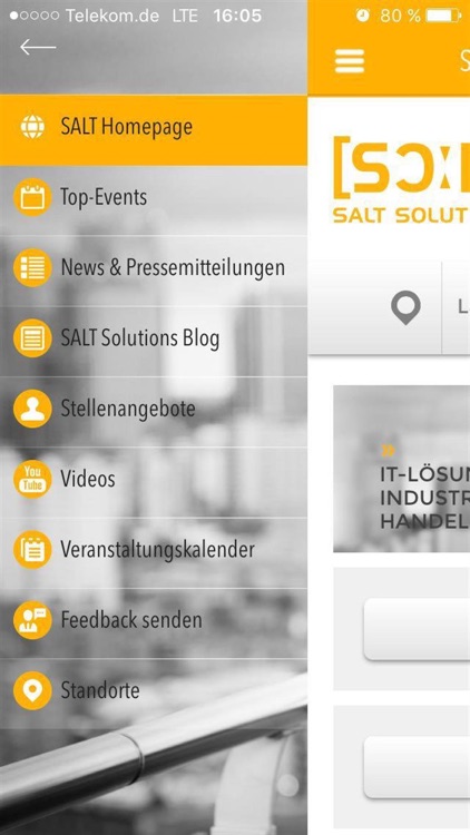 SALT Solutions AG