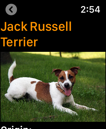 Screenshot #9 for Dogs Guide for Watch: Breeds