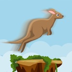 Roo Jump