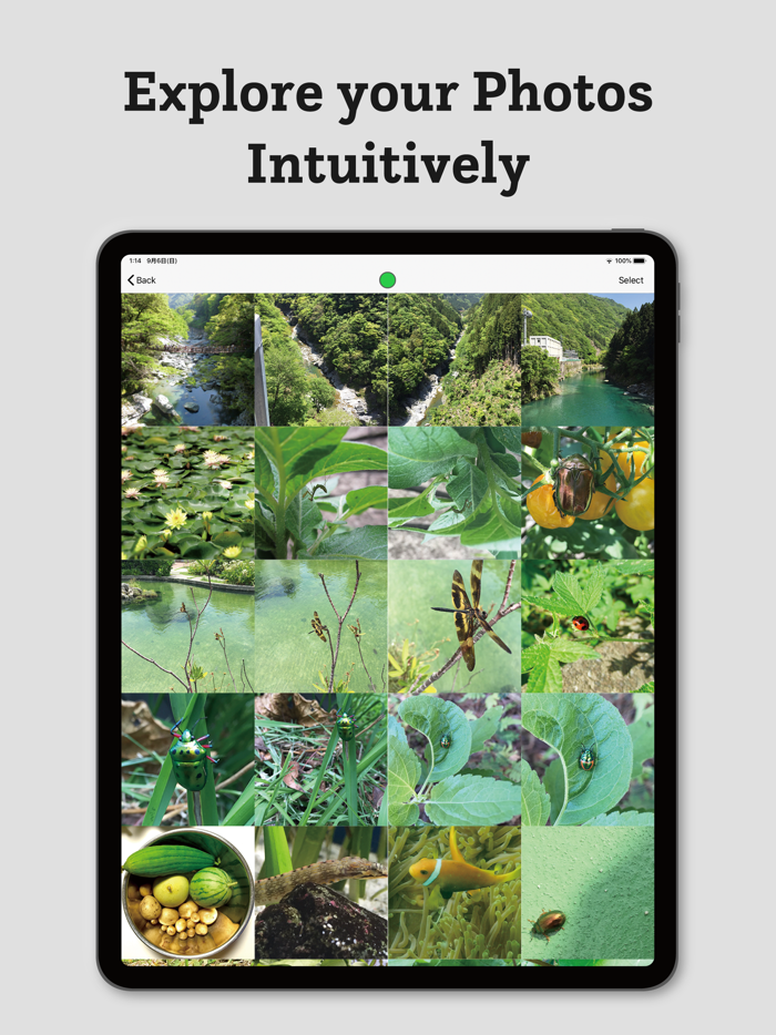 ByColor-sort photos by color