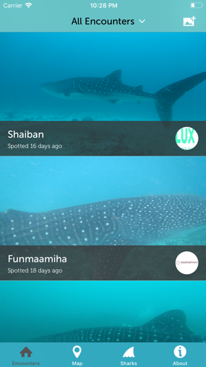 Whale Shark Network Maldives(圖1)-速報App