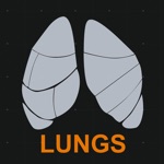 Lungs Respiratory System