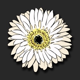 FloralShop: Flower Stickers