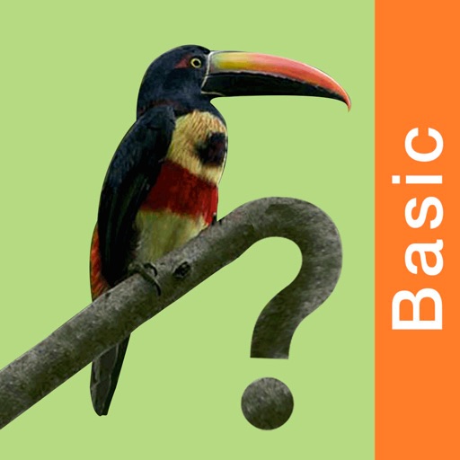 Costa Rica Birds Basic iOS App