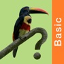 Get Costa Rica Birds Basic for iOS, iPhone, iPad Aso Report