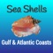 This app shows more than 120 common species of sea shells found on the Atlantic and Gulf coasts