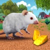 Icon Mouse Life Simulator 2020