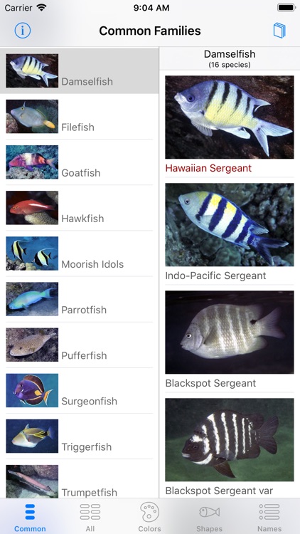 Scuba Fish Hawaii screenshot-7