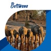 Visit Botswana