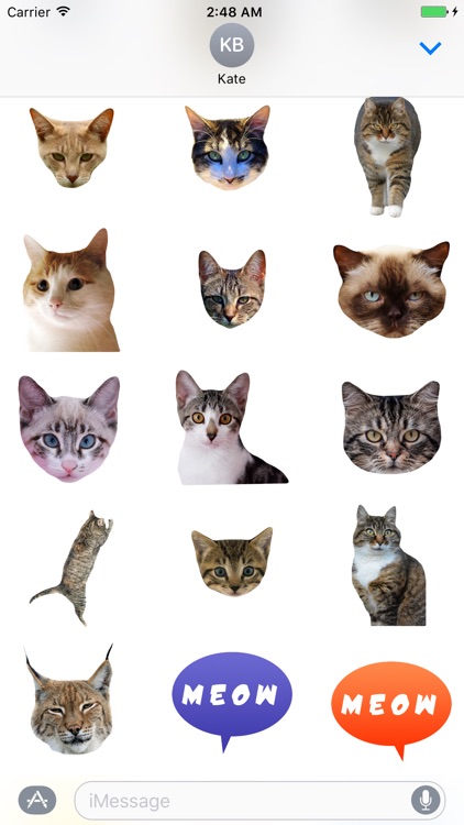 Cat Stickers for Messages screenshot-3