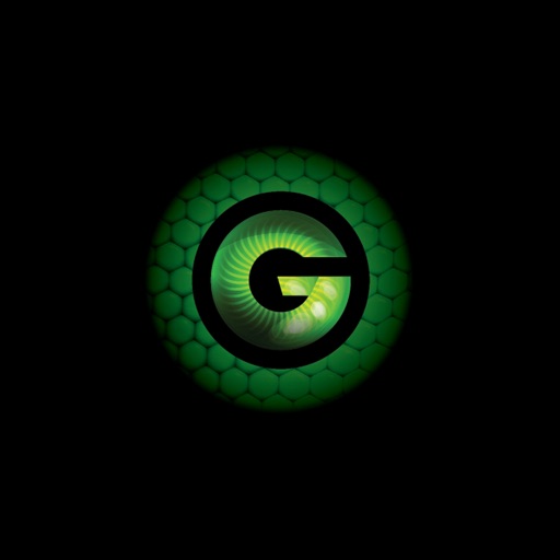 Guardzilla