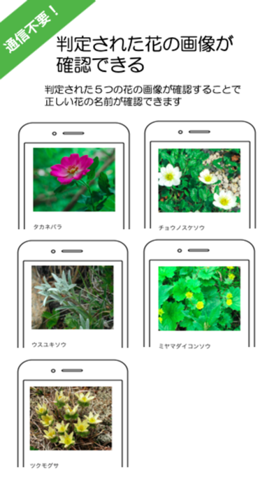 山の花-AI判定アプリ screenshot 2