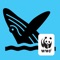 WWF Wildcrowd is a mobile and web app for naturalists and field guides working in the polar tourism industry and for citizen scientists visiting the Antarctic to record sightings of marine wildlife