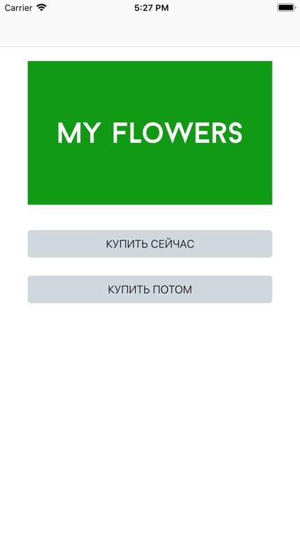 MY FLOWERS